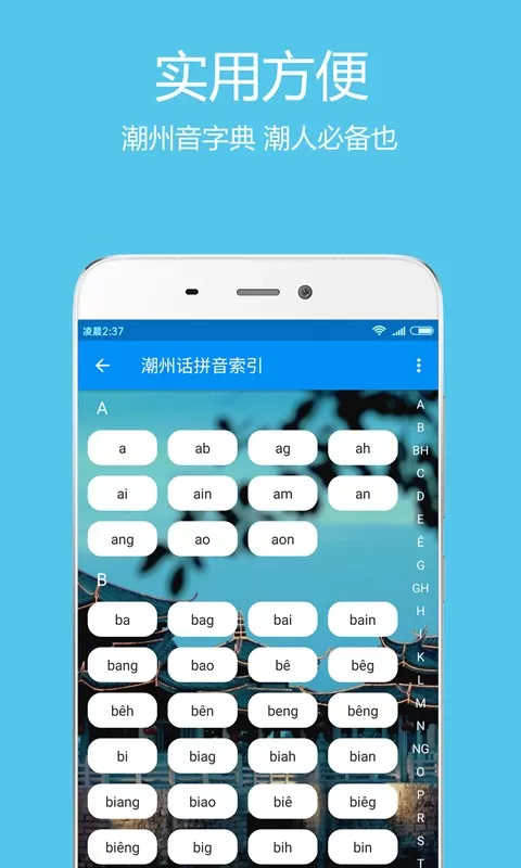 潮州音字典官网版手机版图0