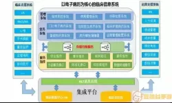 药物治疗规范与监护路径系统的区别