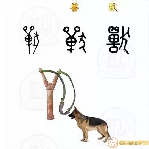 飞禽走兽暗喻什么