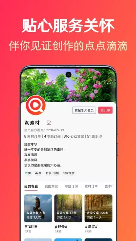 淘素材官网版app图3