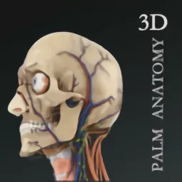 掌上3D解剖下载最新版本