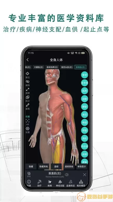 掌上3D解剖下载最新版本