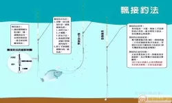 钓鱼方法与技巧