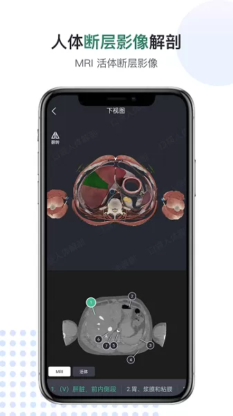 口袋人体解剖官网版手机版图1