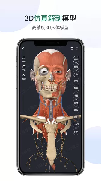 口袋人体解剖官网版手机版图0