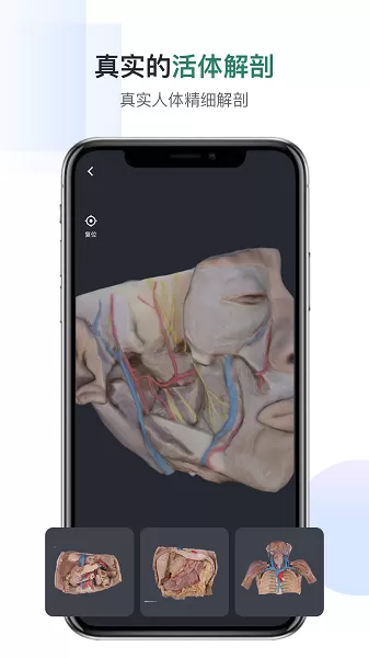 口袋人体解剖官网版手机版图3