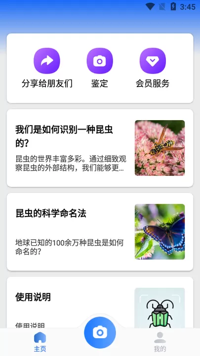 Picture Insect免费下载图2