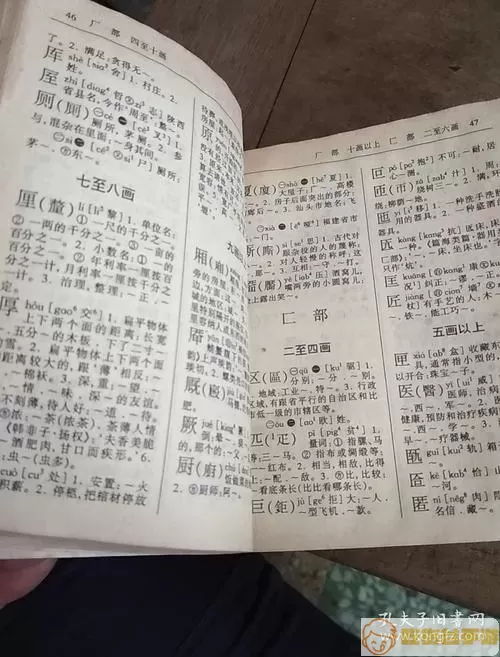 潮州音字典一为潮而生