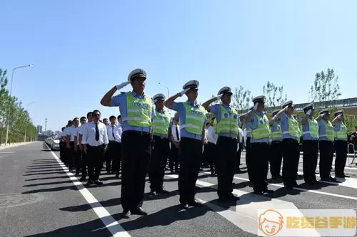 保定交警五大队成员名单