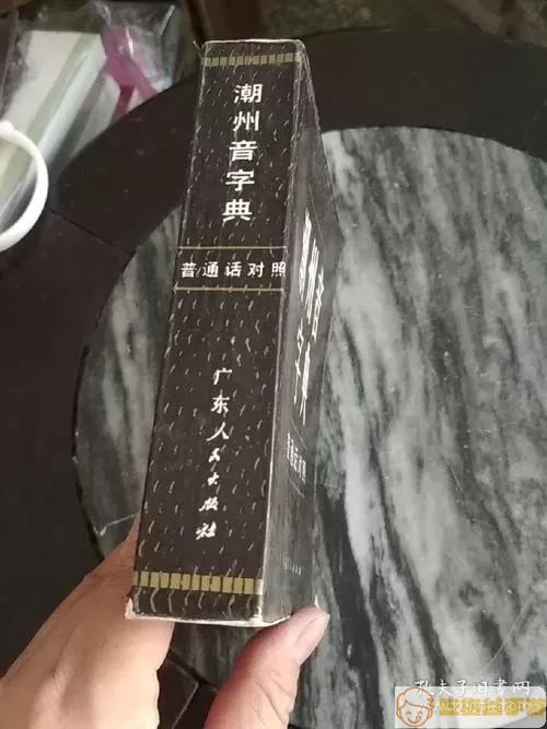 潮州音字典什么时候有的