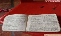 潮州音字典大全