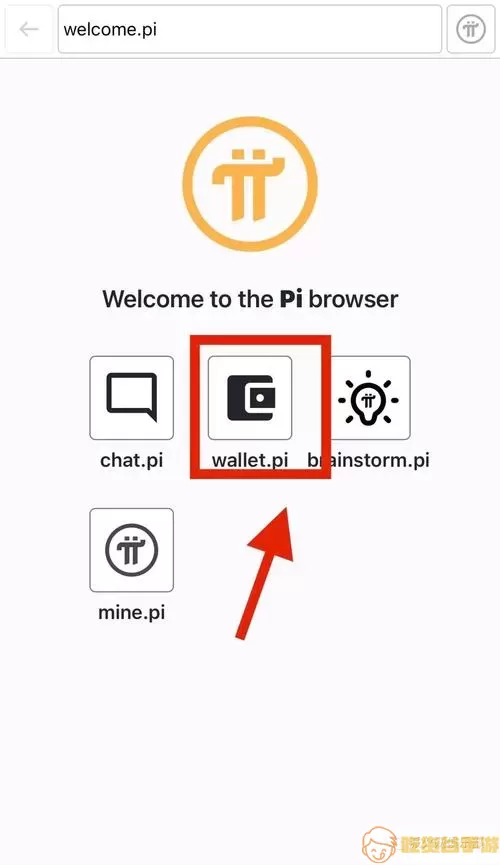 pibrowser的最新版本