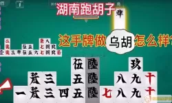 湖南跑胡子字牌玩法