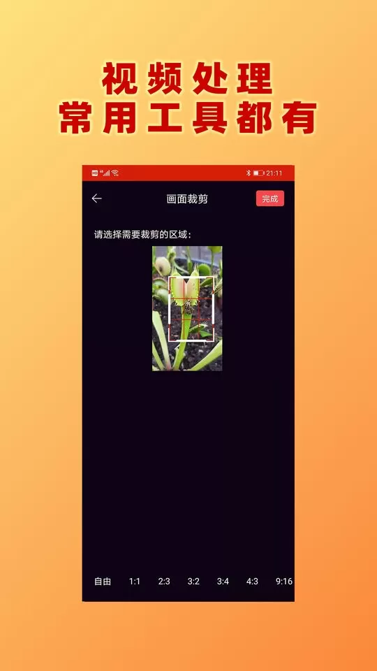 视频加文字下载免费版图1