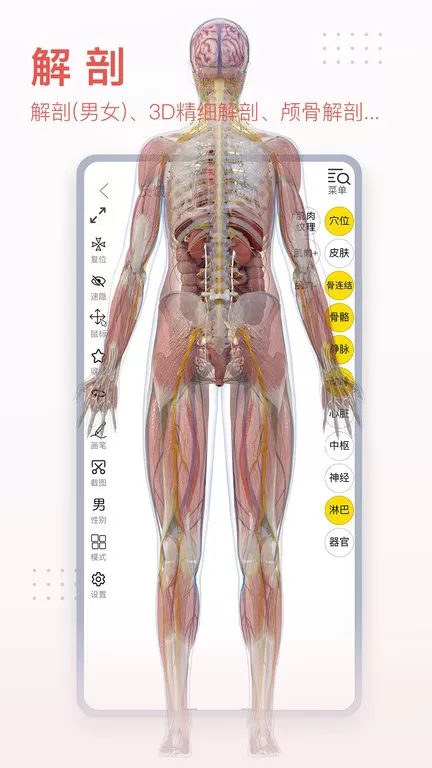 3DBody解剖下载最新版本图0