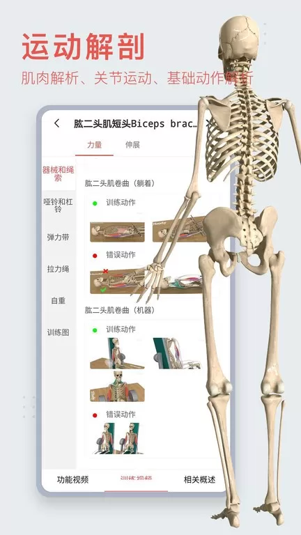 3DBody解剖下载最新版本图2