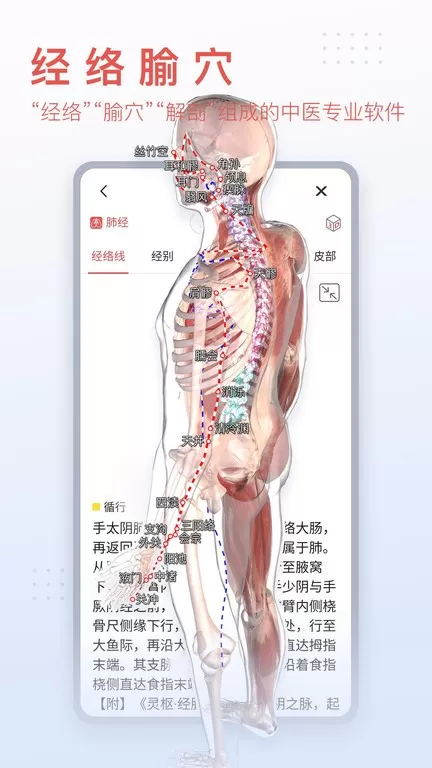 3DBody解剖下载最新版本图3