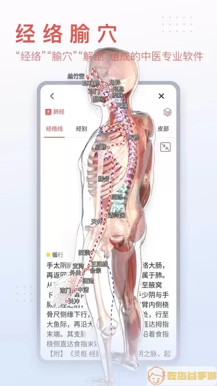 3DBody解剖下载最新版本