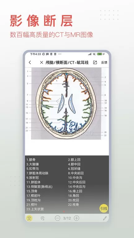 3DBody解剖下载最新版本图1