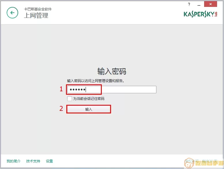 kaspersky服务是什么