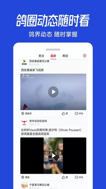 青鸽网下载app图1