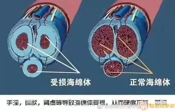 海绵体供血不足能彻底根治吗