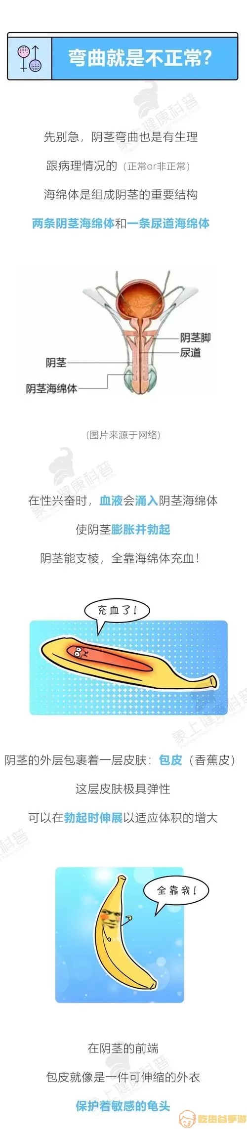 海绵体硬结症