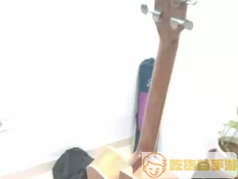 吉他调音器品牌推荐