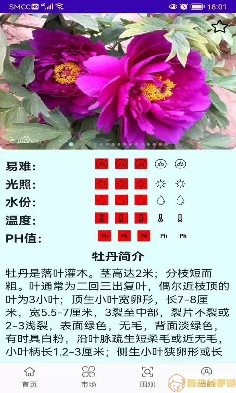 绿植花卉下载免费版