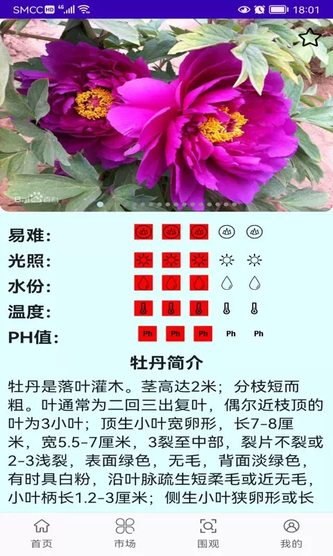 绿植花卉下载免费版图4