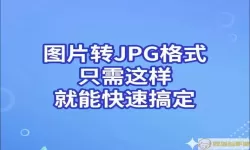 迅捷图片转换器能把dcm转换成ipg吗