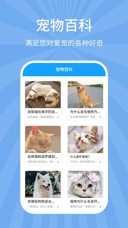 狗猫翻译器手机版下载图2