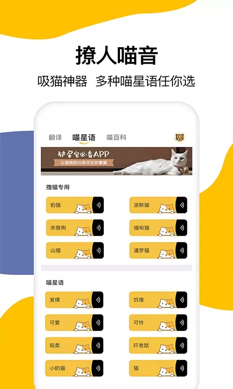 猫语翻译官网版旧版本图1