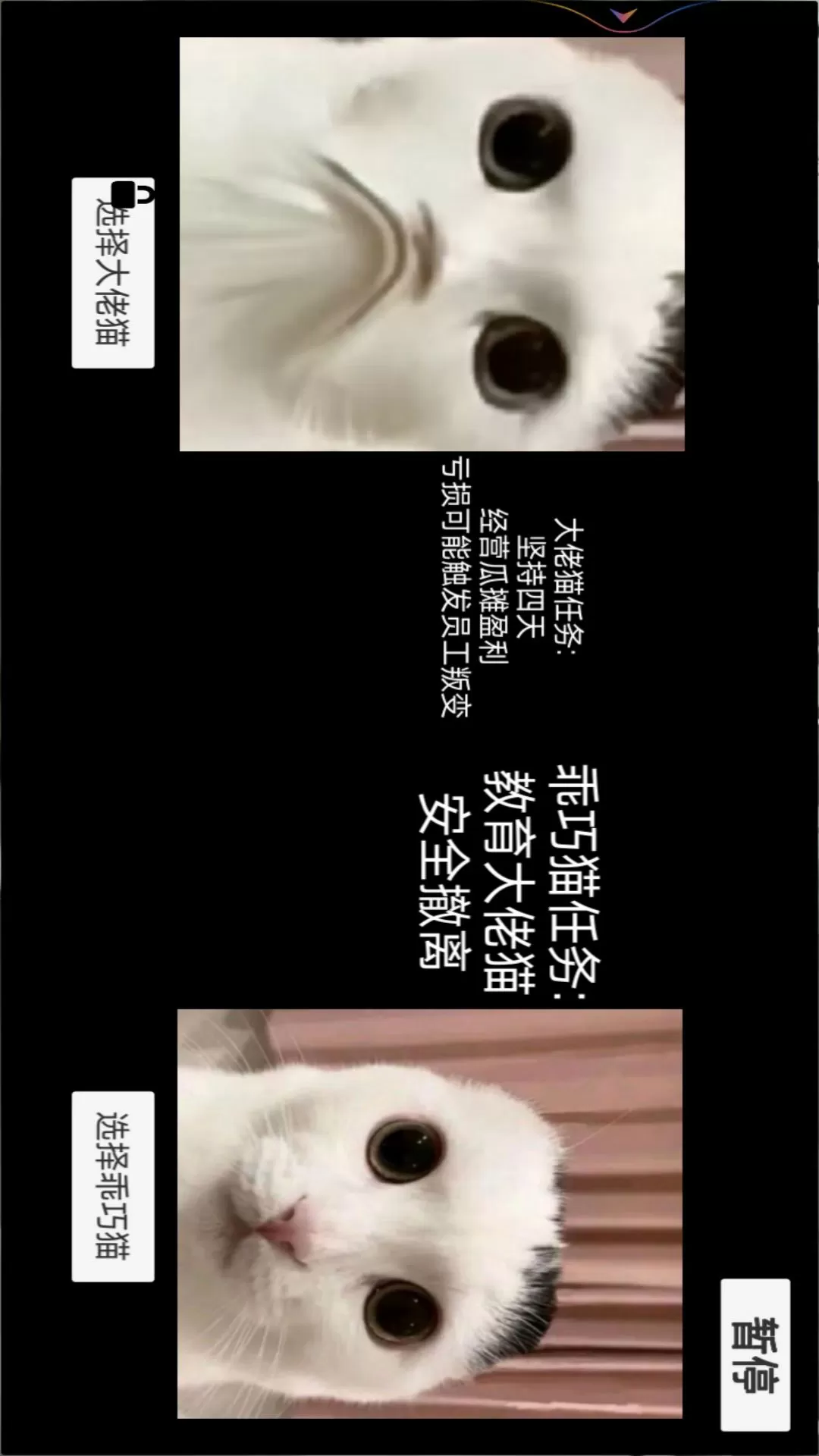 恐怖猫猫惊魂手机游戏图3