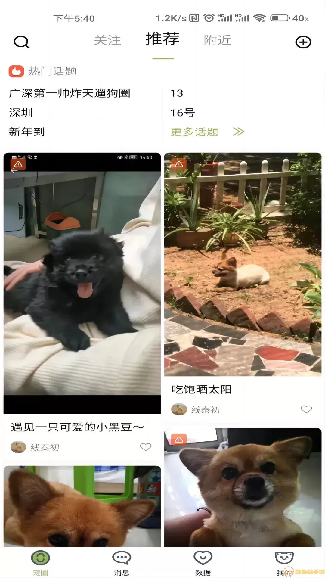 陌派正版下载