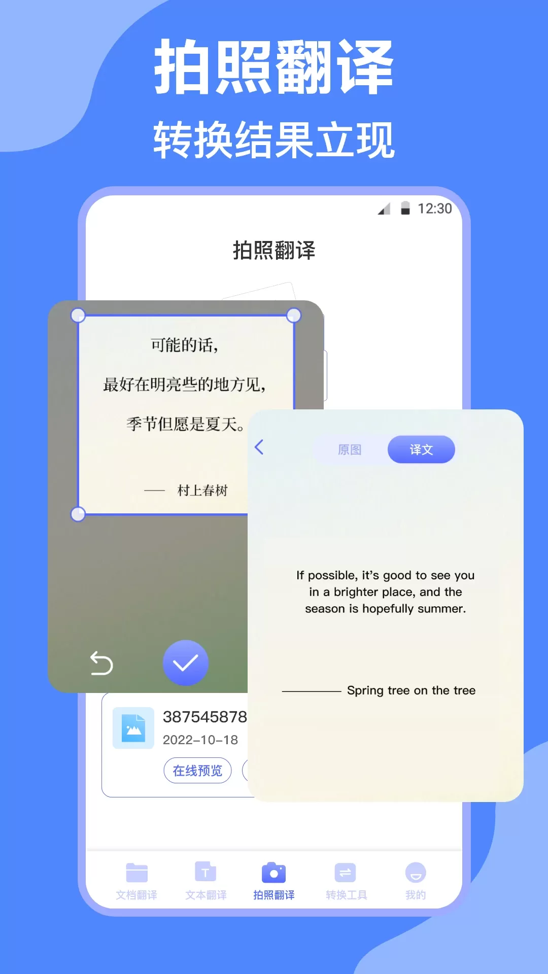 DeepL翻译下载正版图2