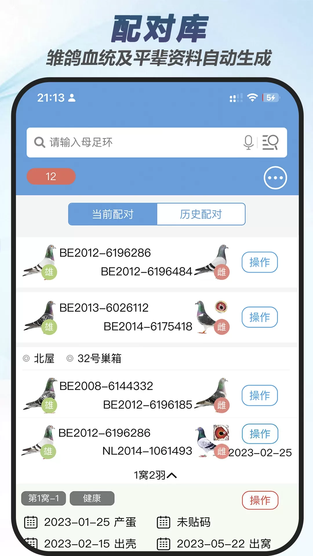 赛鸽云下载最新版图3