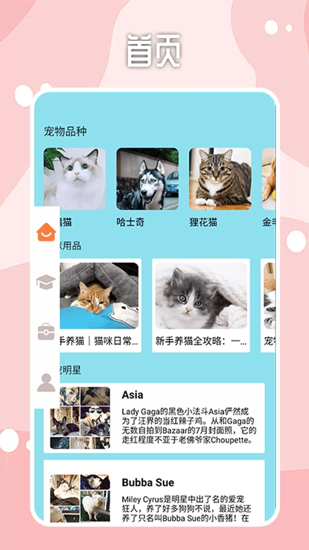 密聊猫咪安卓免费下载图0