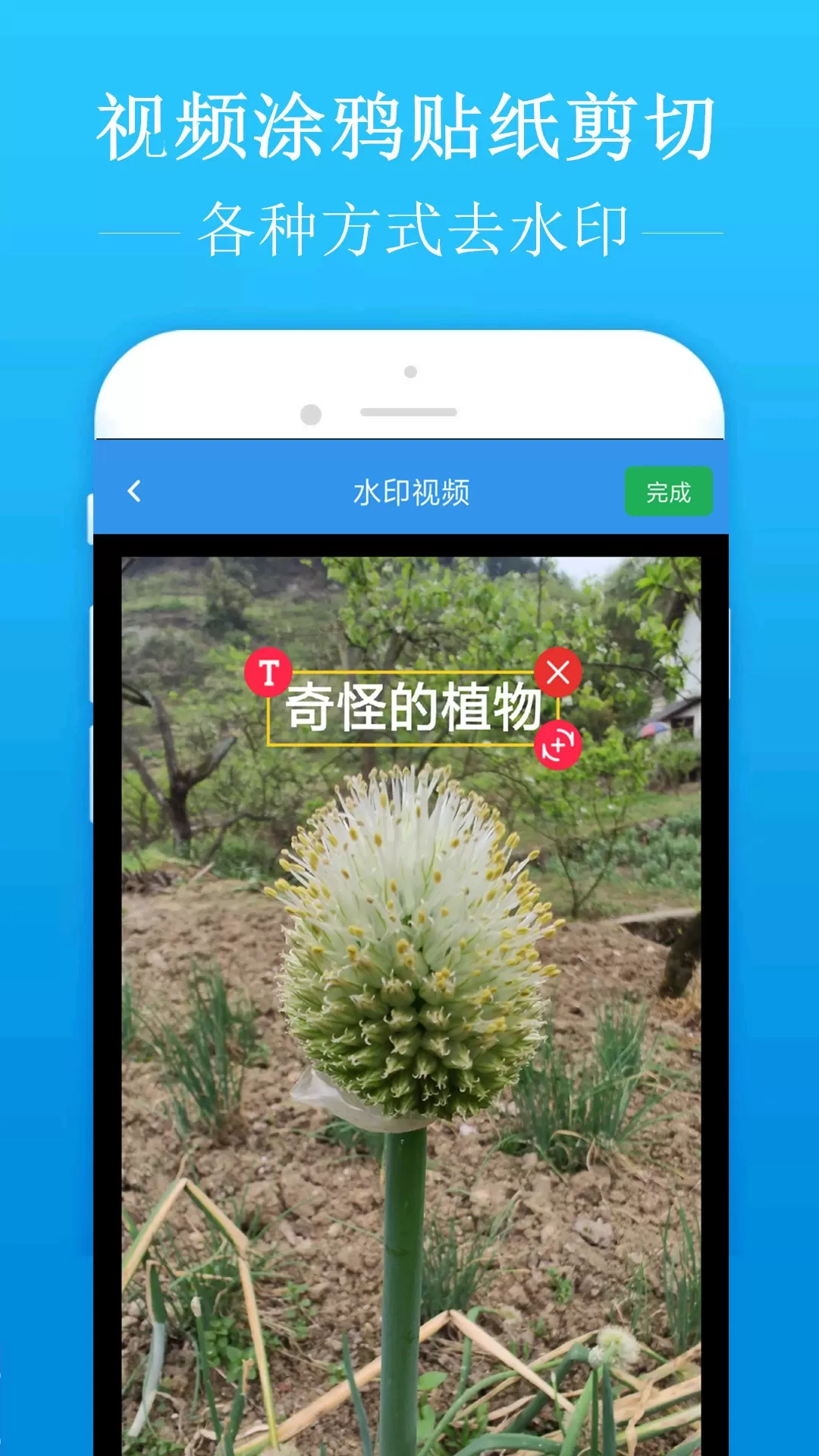 去水印吧app最新版图2