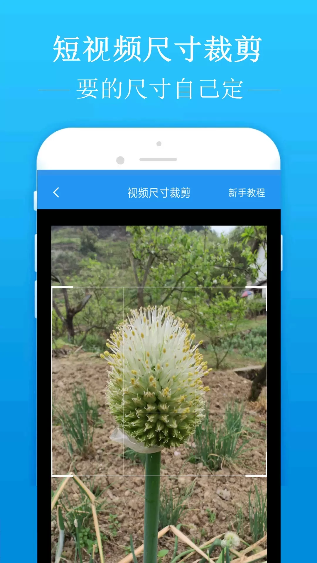 去水印吧app最新版图1