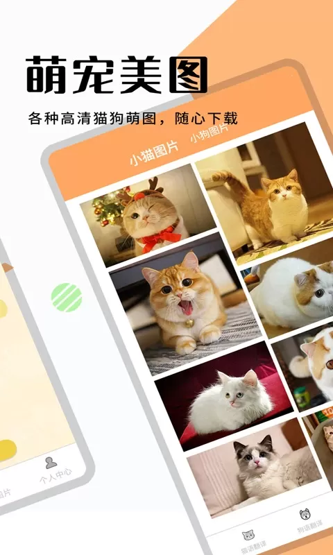 猫狗翻译器软件官方正版下载图3