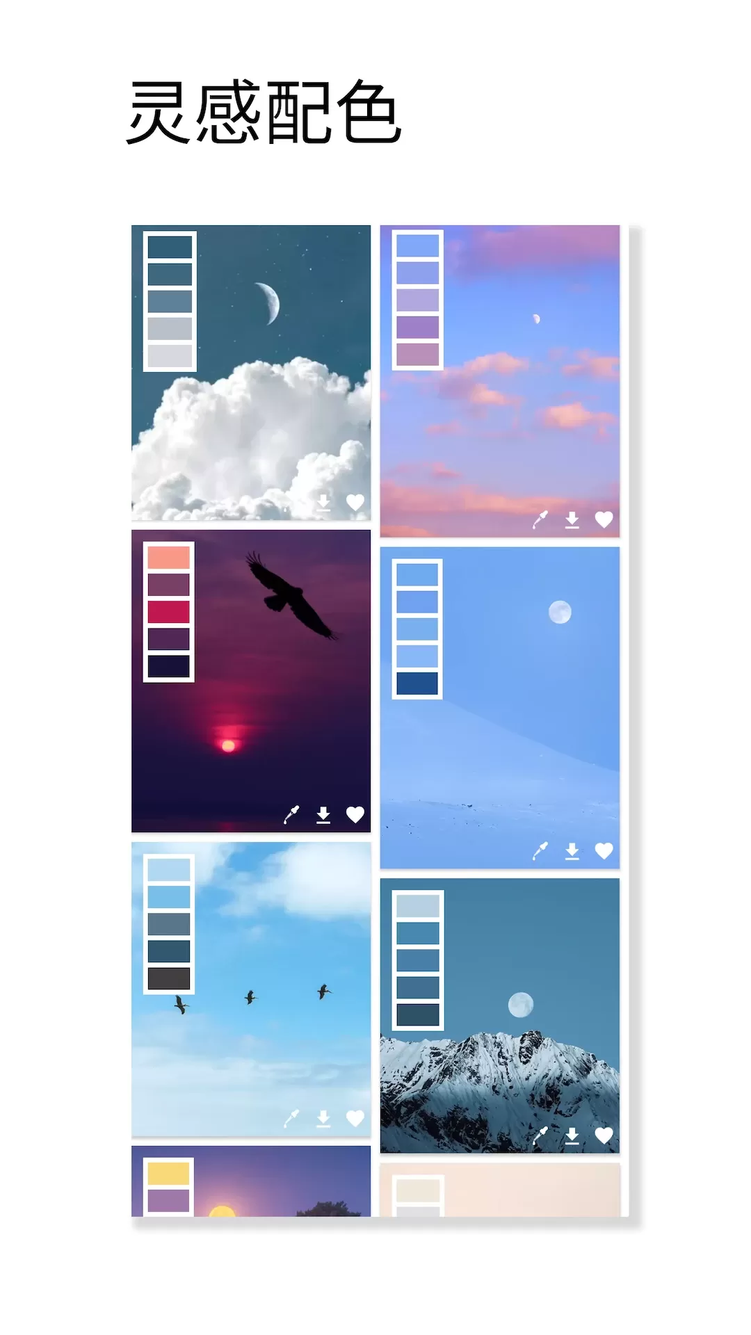 观色配色安卓免费下载图3