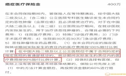 吉利相伴C款保险司法判例