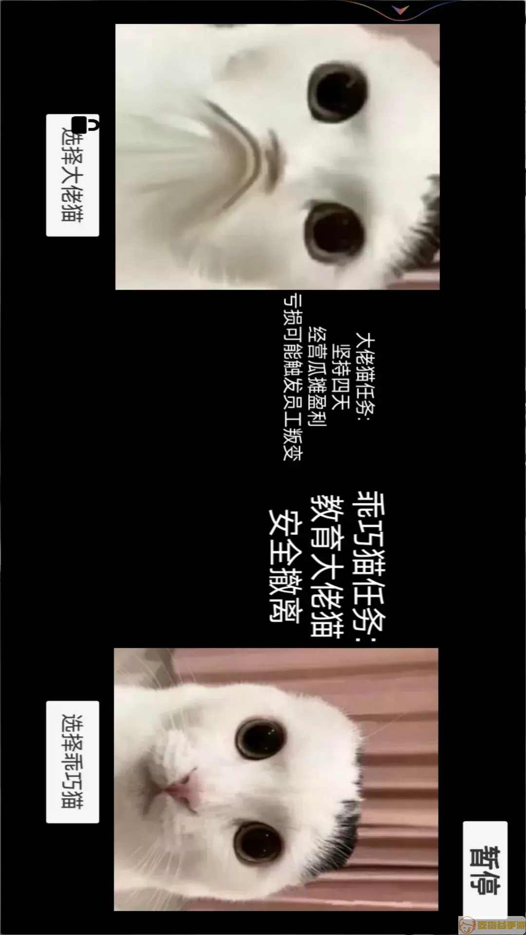 猫猫惊魂夜游戏新版本