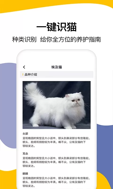 猫语翻译官网版app图3