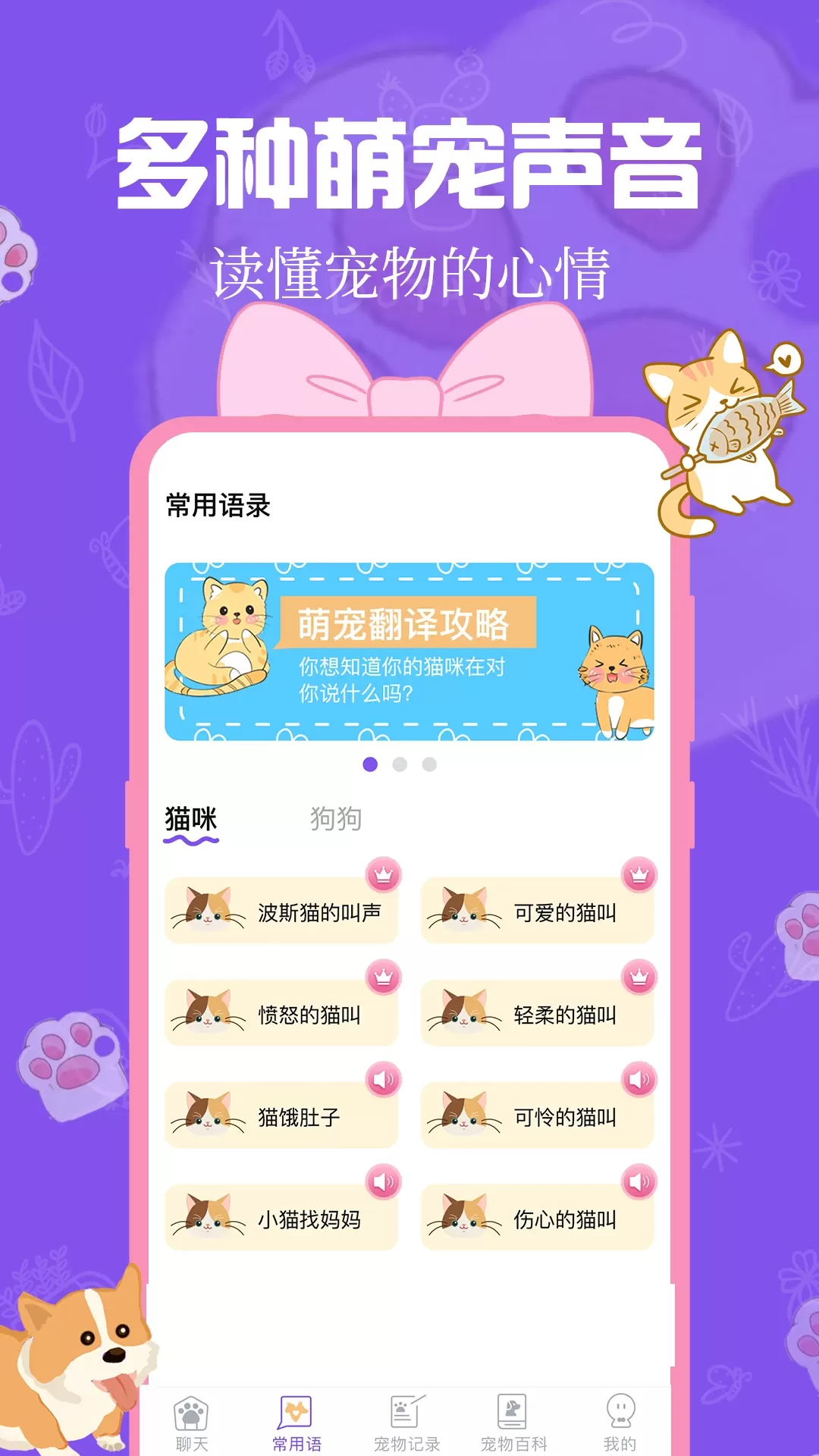 猫狗翻译器正版下载图1