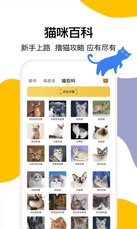 猫语翻译官网版app图2