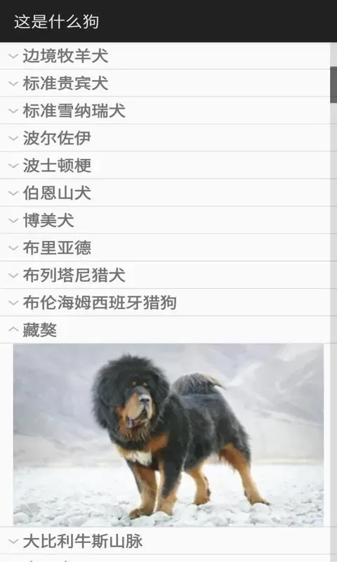 这是什么狗app安卓版图1