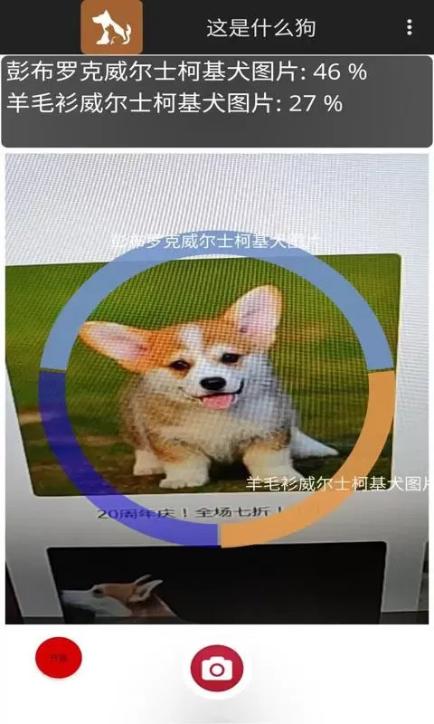 这是什么狗app安卓版图2