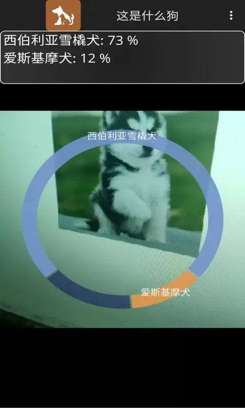 这是什么狗app安卓版图4